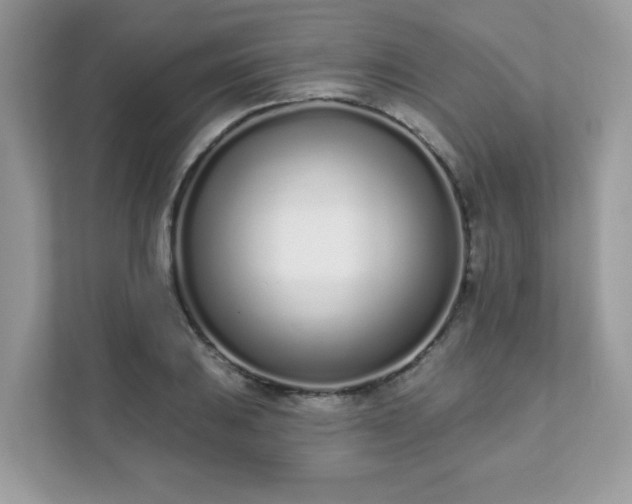 X0000111891031200907301153