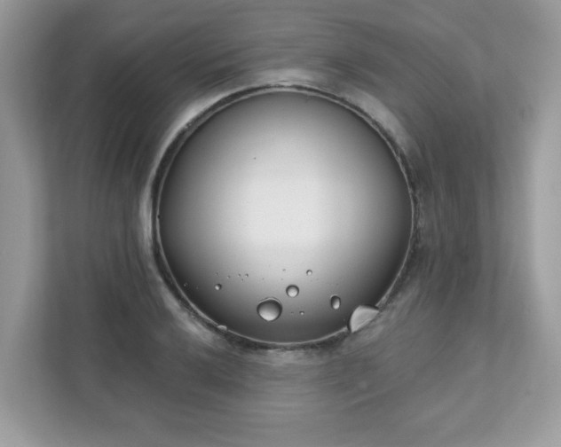 X0000111891032200907301153