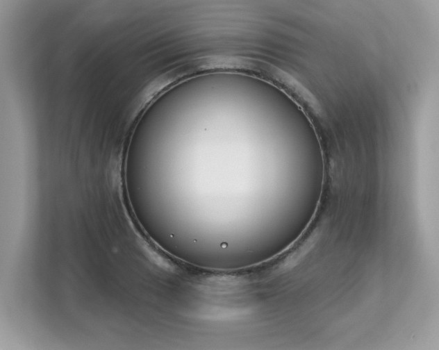 X0000111891033200907301153