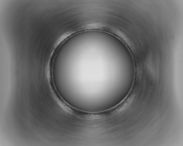 X0000111891034200907301153