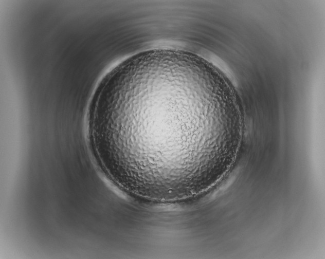 X0000111891037200907301153