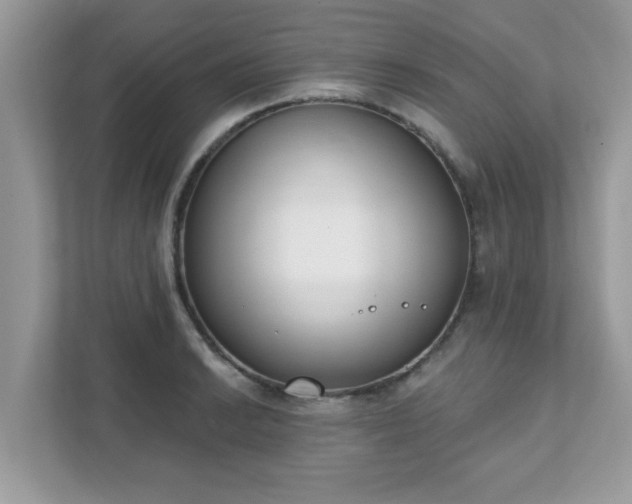 X0000111891038200907301153