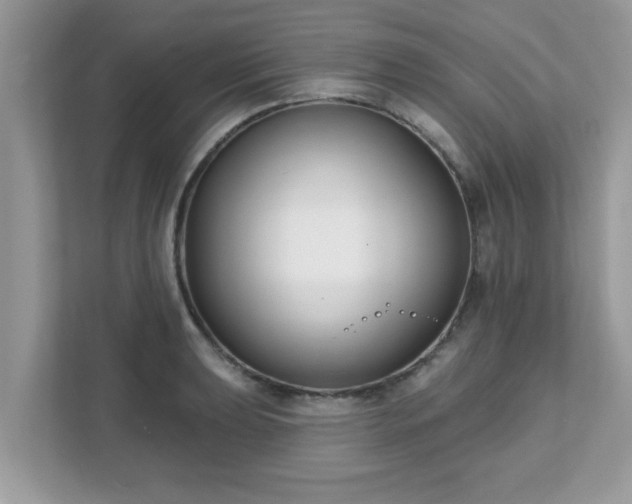 X0000111891039200907301153