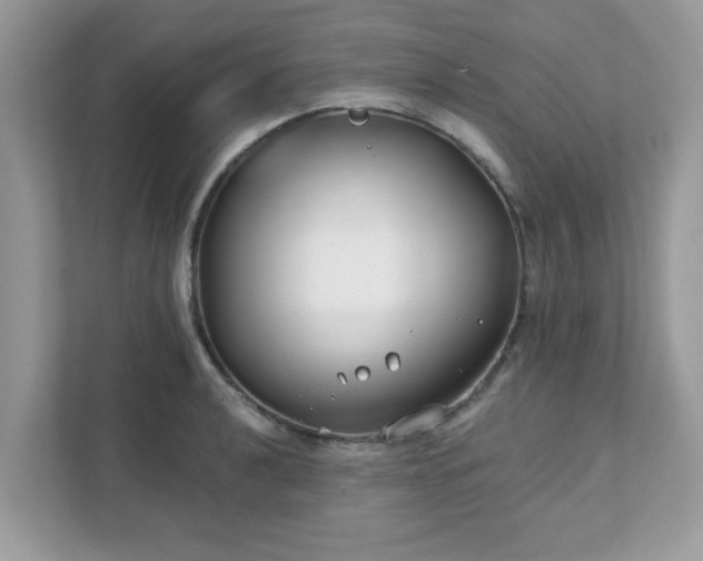 X0000111891040200907301153