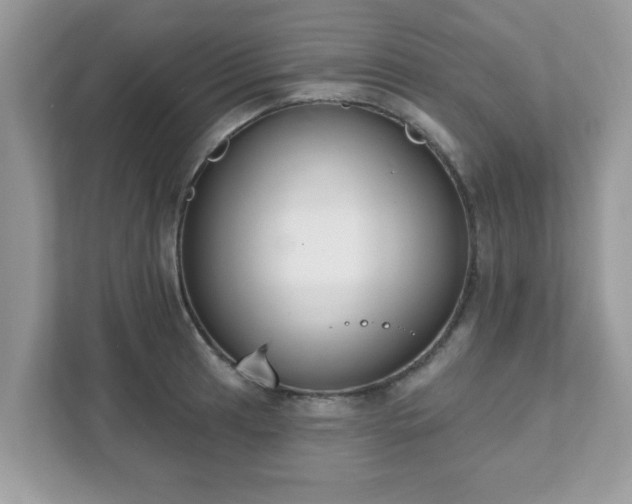 X0000111891041200907301153