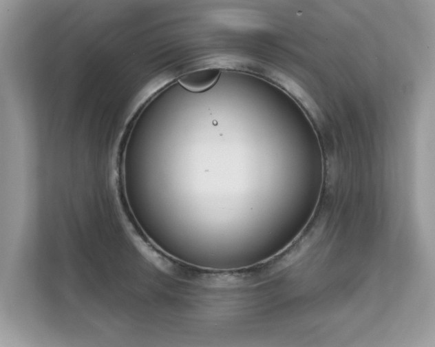 X0000111891042200907301153