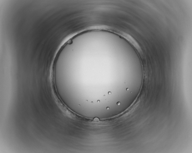 X0000111891044200907301153