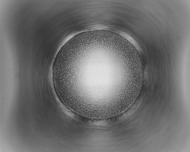 X0000111891047200907301153