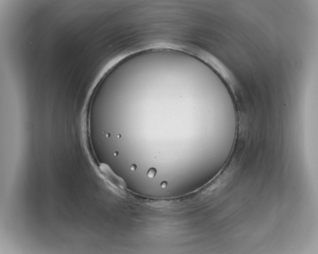 X0000111891048200907301153