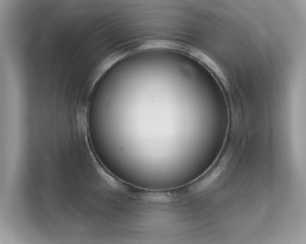 X0000111891049200907301153