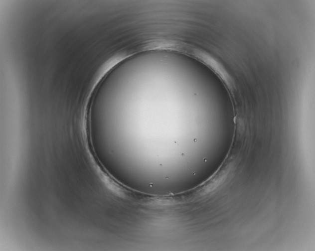 X0000111891050200907301153