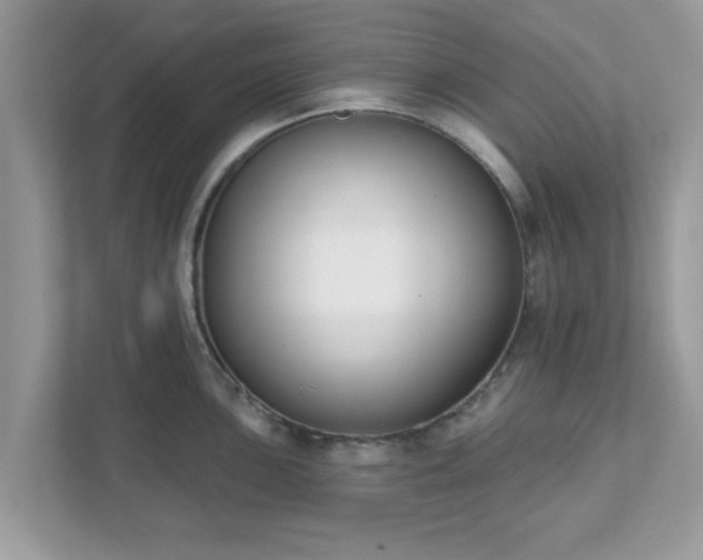 X0000111891051200907301153