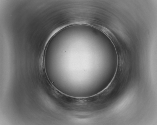 X0000111891052200907301153