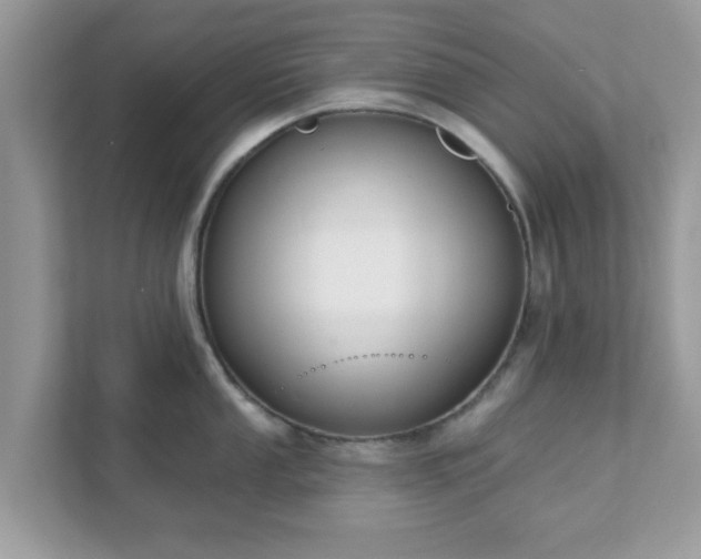 X0000111891053200907301153