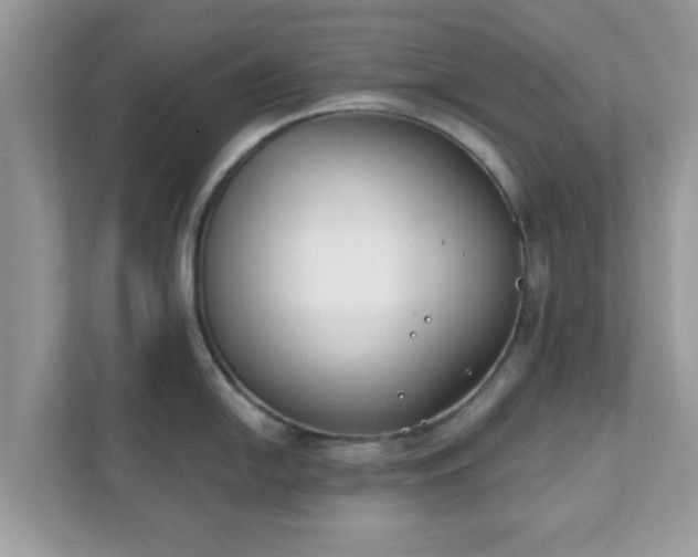 X0000111891054200907301153