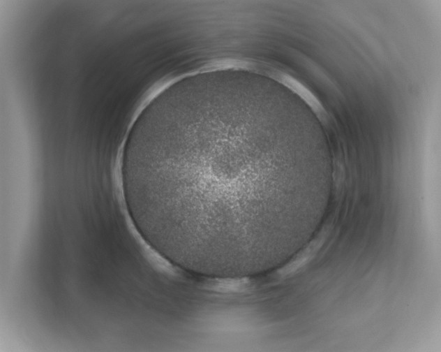 X0000111891055200907301154