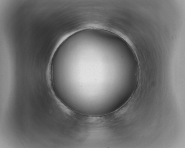 X0000111891056200907301154