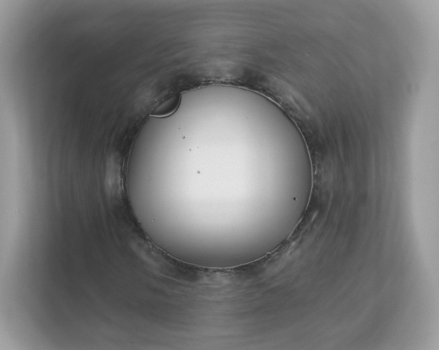 X0000111891058200907301153