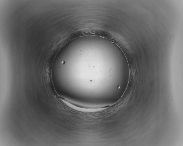 X0000111891060200907301153