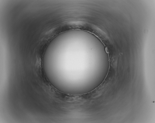 X0000111891061200907301153