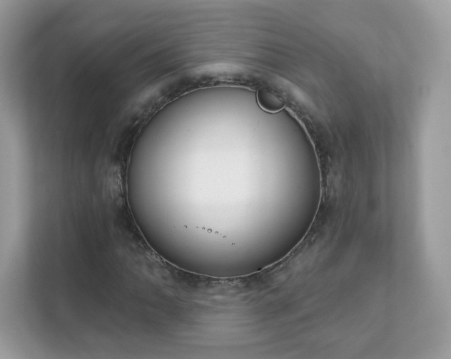 X0000111891062200907301153