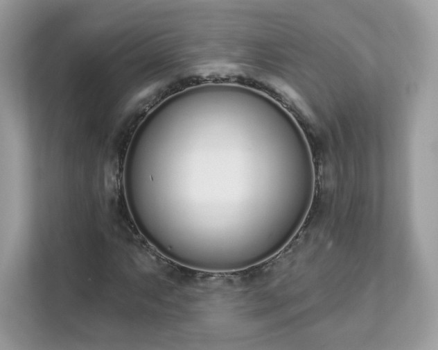 X0000111891063200907301153