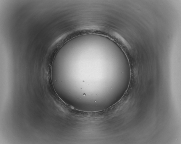 X0000111891064200907301153