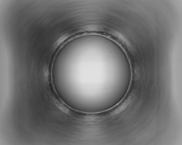 X0000111891065200907301153