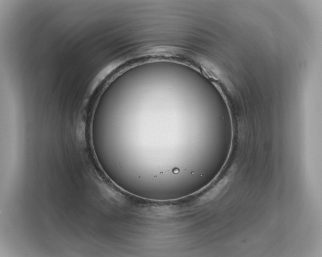 X0000111891066200907301153