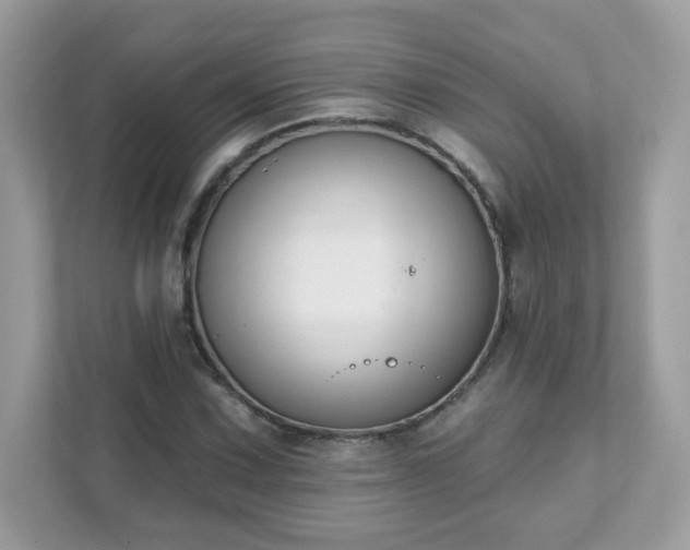 X0000111891067200907301153