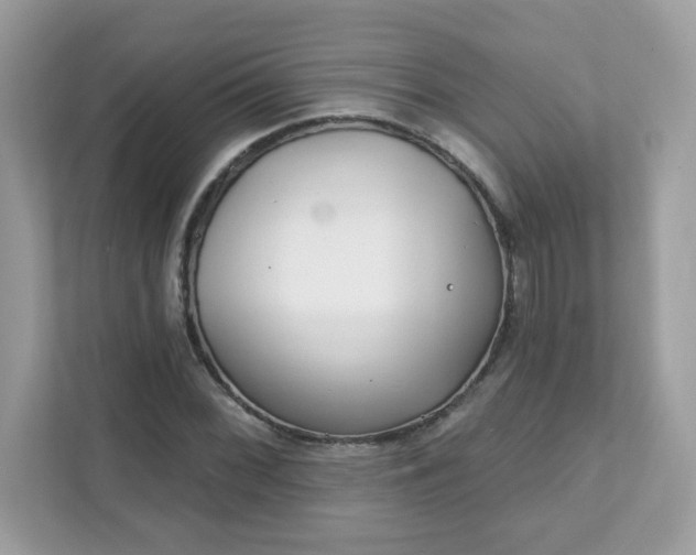 X0000111891068200907301153