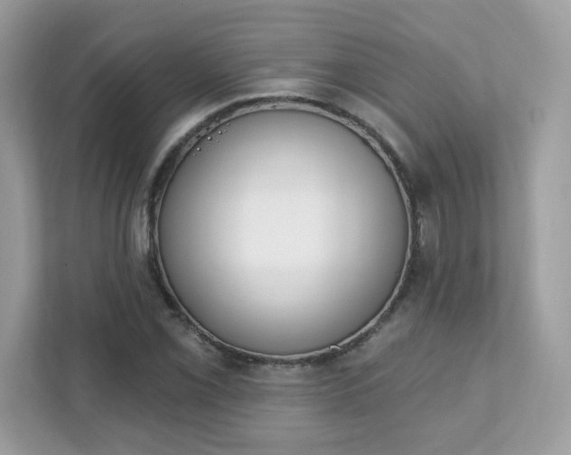 X0000111891069200907301153