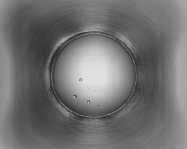 X0000111891072200907301153