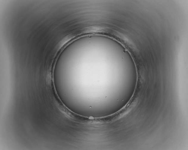 X0000111891073200907301153