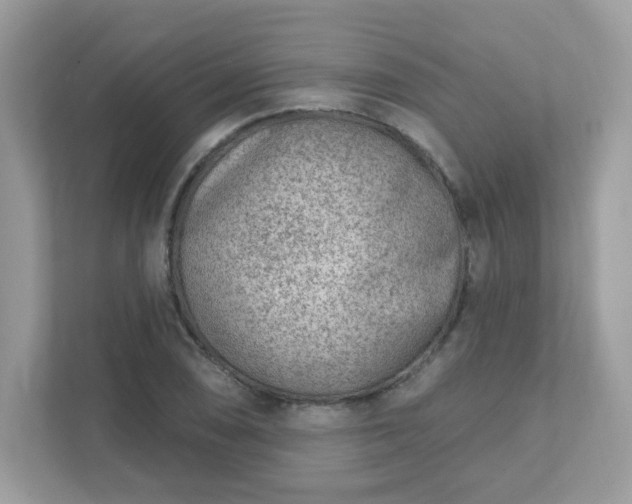 X0000111891074200907301153