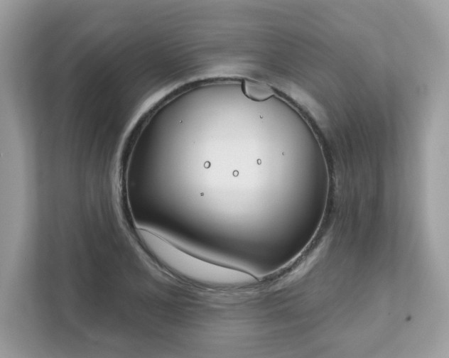 X0000111891077200907301153