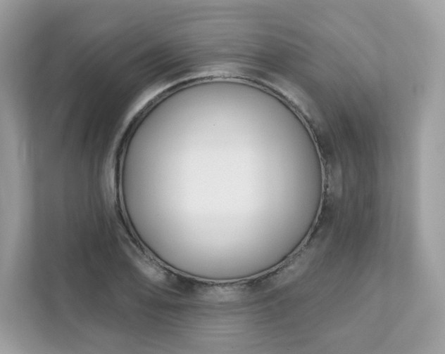 X0000111891078200907301153