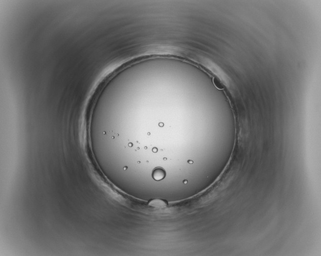 X0000111891080200907301153