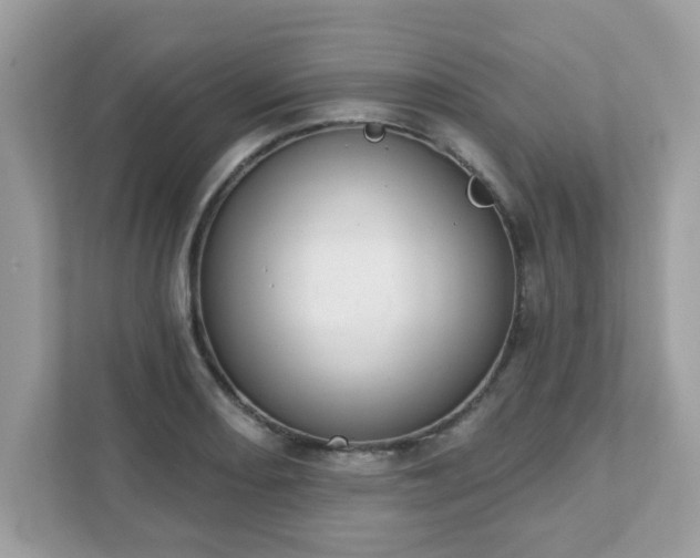 X0000111891082200907301153