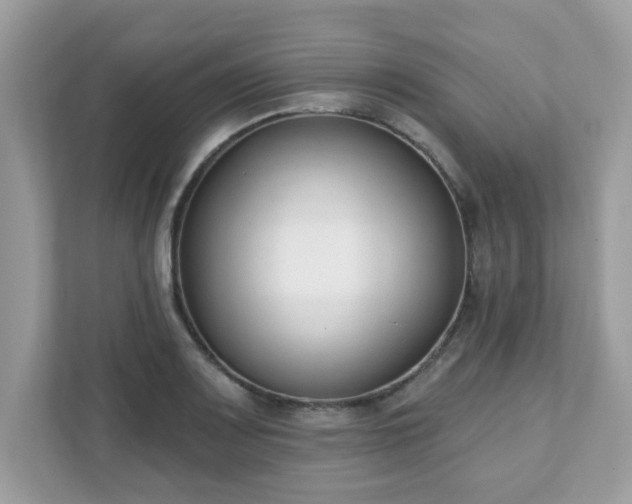 X0000111891083200907301153