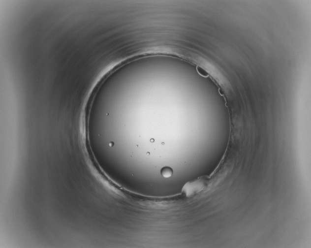 X0000111891084200907301153