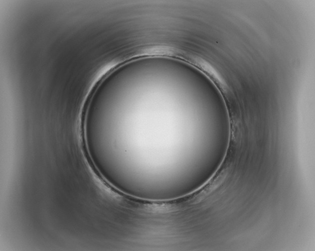 X0000111891087200907301153