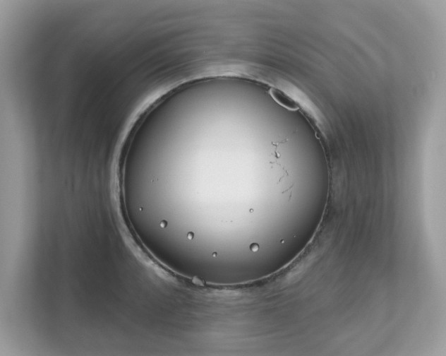 X0000111891088200907301152