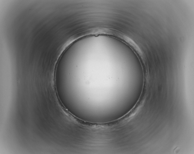 X0000111891089200907301152