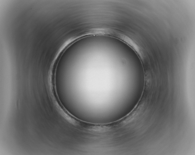 X0000111891091200907301152