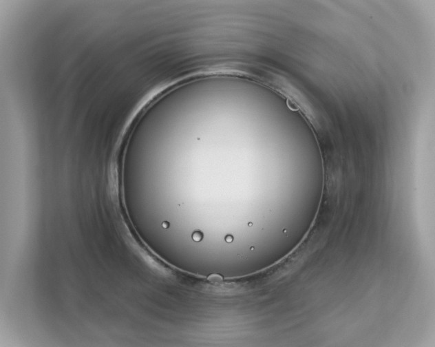 X0000111891092200907301152