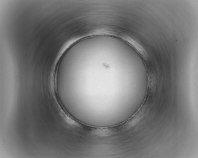 X0000111891094200907301152