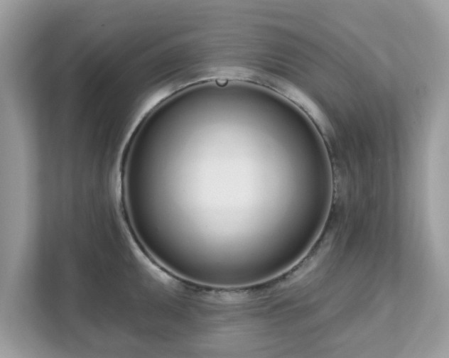 X0000111891095200907301152