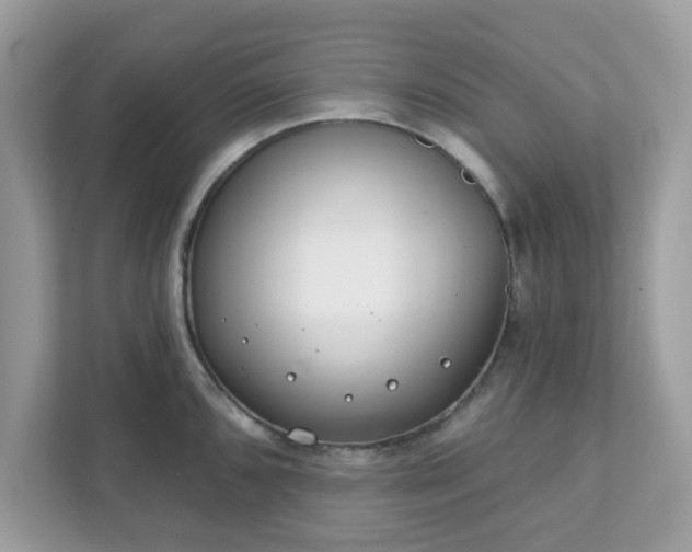 X0000111891096200907301152