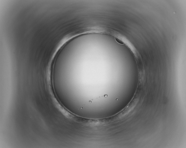 X0000111891099200907301152